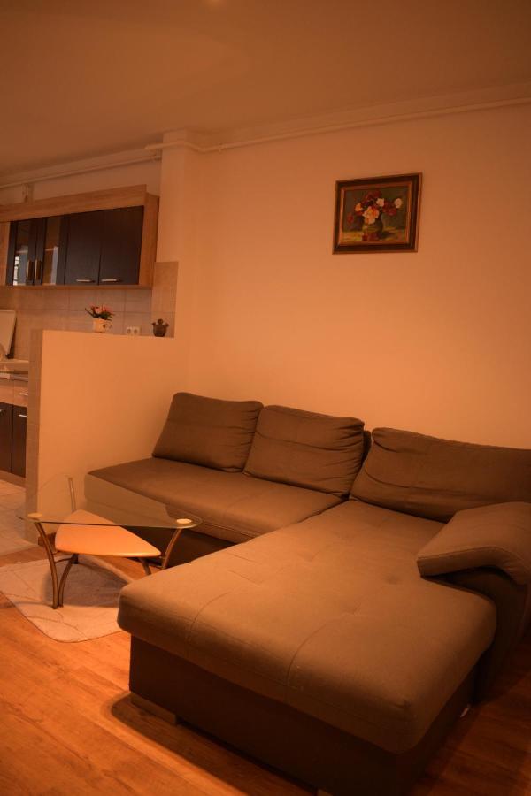 Apartament Alexandru Lejlighed Sibiu Eksteriør billede